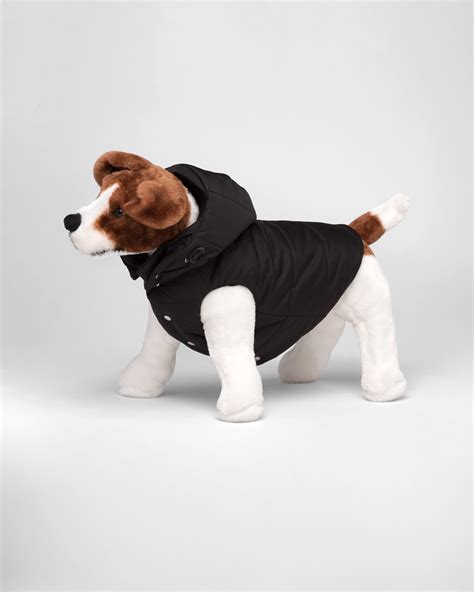 prada jacket for dogs|Prada.